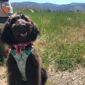 PLEASE READ b4 order!!(: